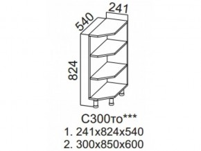 С300то Стол рабочий 300 (торцевой открытый) в Сатке - satka.magazin-mebel74.ru | фото