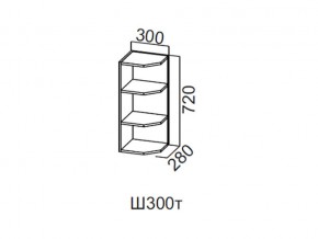 Ш300т/720 Шкаф навесной 300/720 (торцевой) в Сатке - satka.magazin-mebel74.ru | фото