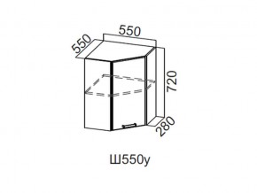 Ш550у/720 Шкаф навесной 550/720 (угловой) в Сатке - satka.magazin-mebel74.ru | фото