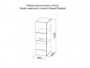 Шкаф навесной (глухой) Левый в Сатке - satka.magazin-mebel74.ru | фото