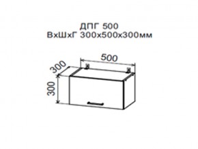 Шкаф верхний ДПГ500 горизонтальный в Сатке - satka.magazin-mebel74.ru | фото