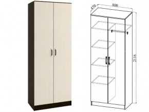 ШКР800.2 Шкаф 2х-створчатый комби в Сатке - satka.magazin-mebel74.ru | фото